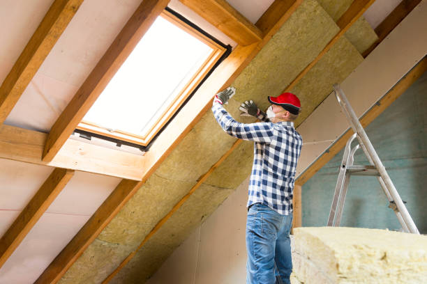 Best Attic Insulation Installation  in Lake Fenton, MI